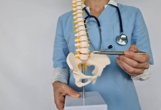 istock Doctor in blue uniform explaining the spine model with a pen in hand 1992955512