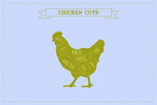 Vector illustration of Color Guide to Butcher Diagrams for Cutting Chicken
