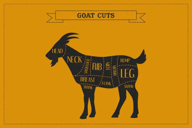 Vector illustration of Color Guide to Butcher Diagrams for Cutting Goat