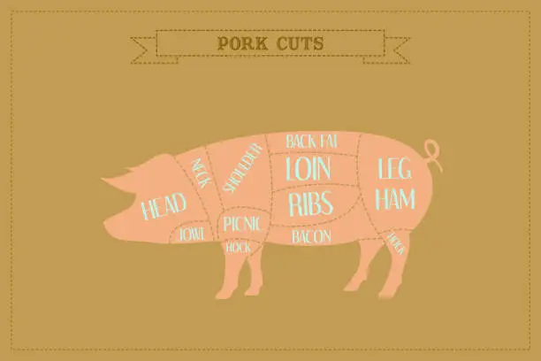 Vector illustration of Color Guide to Butcher Diagrams for Cutting Pork