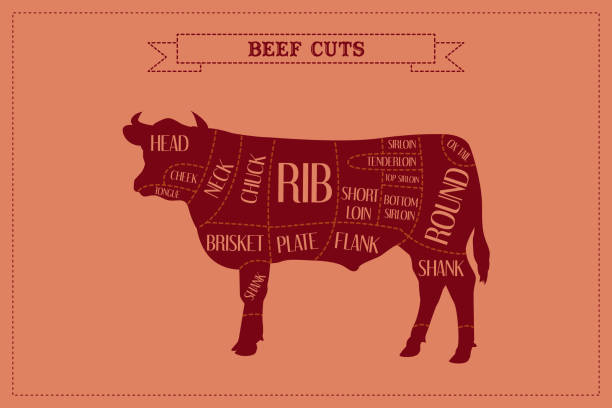 istock Color Guide to Butcher Diagrams for Cutting Beef 1993001975