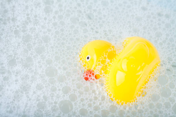 Yellow rubber duck toy floating in water