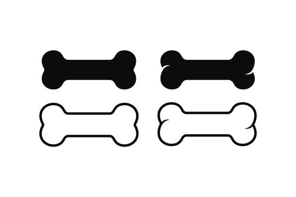 kość dla psa ikona projekt symbol szablon płaski styl wektor - kość stock illustrations