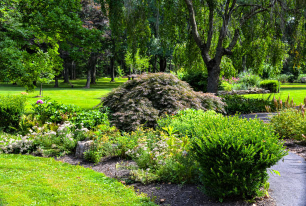 istock In the gardens at the parks 1993018138