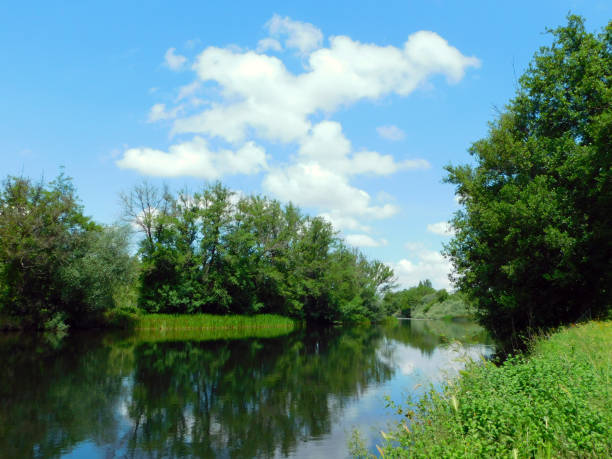 El Tera is a northern river in Spain, a tributary of the Esla river, which has a length of 139 km and flows into a river of 2412 km² in the province of Zamora.