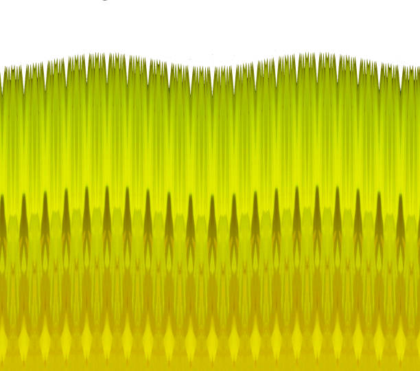 Abstract art with empty pattern, closeup macro detail for background and design
