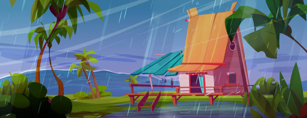 dom rybaka nad morzem w sztormową pogodę - grass family backgrounds sea wind stock illustrations