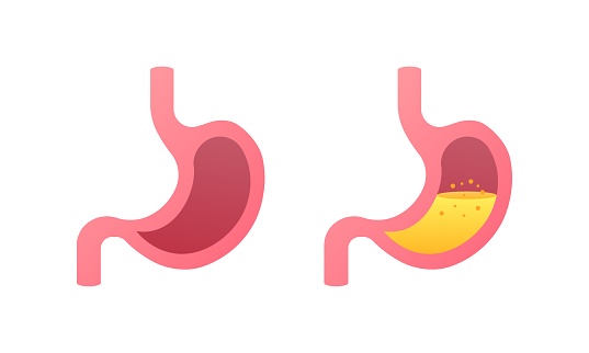 Stomach icons. Flat style. Vector icons