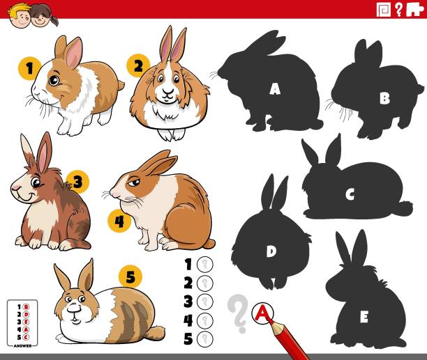 Small Rabbit Visual 10+ Dwarf Rabbit Silhouette Stock Illustrations, Royalty-Free Vector ...