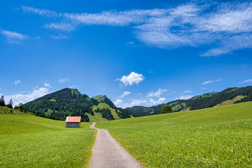 Idyllic summer landscape with hiking trail in allgaeu Alps. Beautiful green mountain pastures along the way, Bavaria, Germany