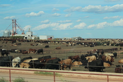 Stock yards are the first thing you will see when entering Dodge City Kansas