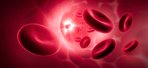 red blood cells floating in vein - cyrkulacja zdjęcia i obrazy z banku zdjęć