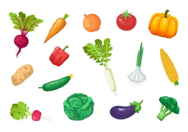 Vector illustration of Vegetables set. Vector illustration isolated on white background.