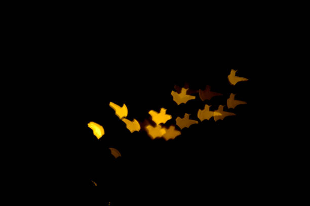 Blurred bokeh with lots of bats as a template, overlay for halloween