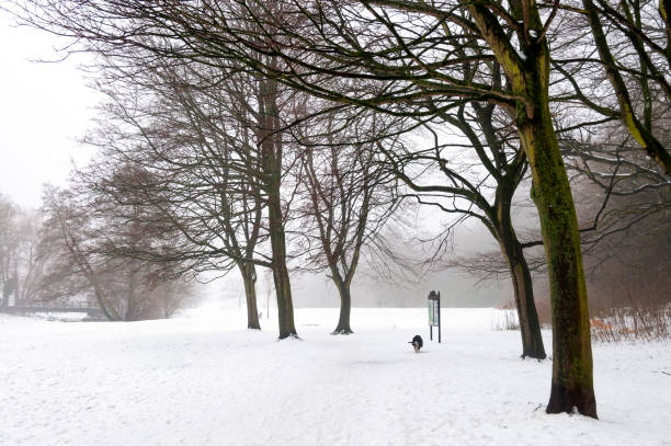 Snowy scenes in Wilmslow, Cheshire. A blanket of fresh snow transforms the landscape into a winter wonderland.