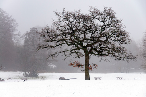 Snowy scenes in Wilmslow, Cheshire. A blanket of fresh snow transforms the landscape into a winter wonderland.