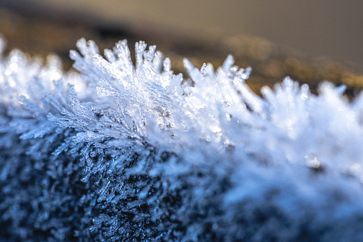 Macrophotography of Ice crystals on the fence