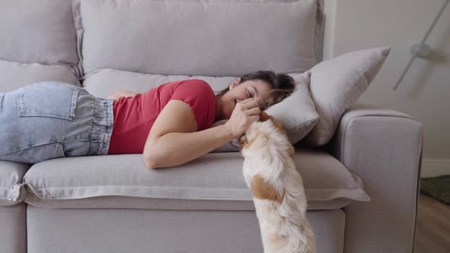 Portrait of a Woman laying on a Couch, Petting her Dog and Spending Time Bonding with Him. Lovely Cute Moment Shared Between Owner and Lovely mixed breed dog, Caressing and Kissing