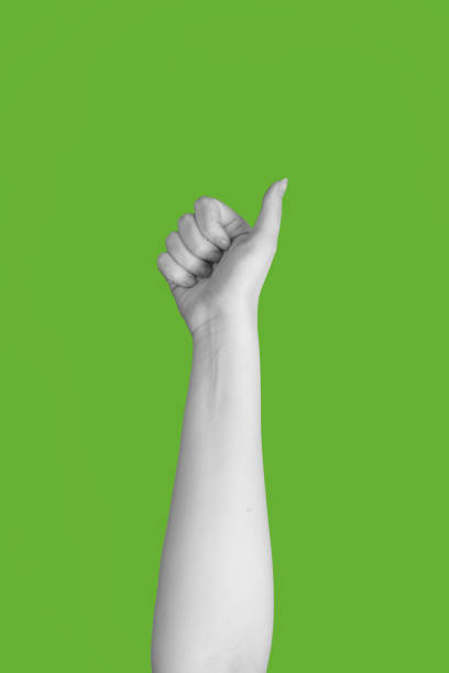 Abstract hand gesture of thumb finger showing up. Black and white woman hand isolated on green background
