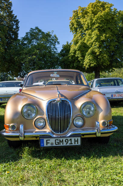 jaguar s-type в коричневом цвете в хромблице в вайтерштадте в замке брауншардт - jaguar car vintage car collectors car personal land vehicle стоковые фото и изображения