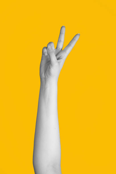istock Abstract hand gesture of victory or v sign 1993258866