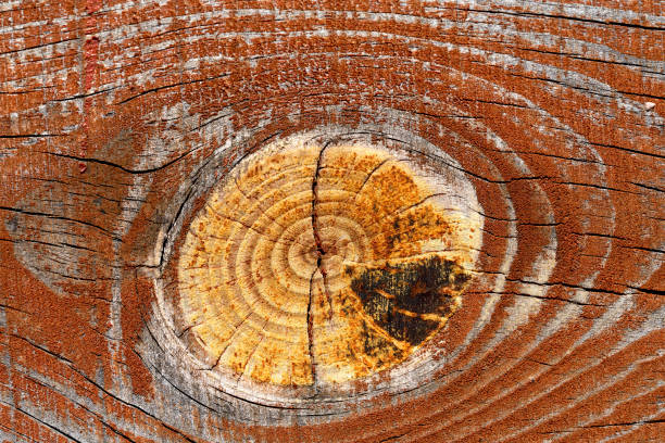 wooden background detail