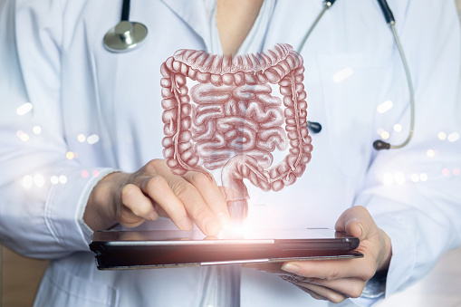 Doctor shows colon and intestines on computer tablet.