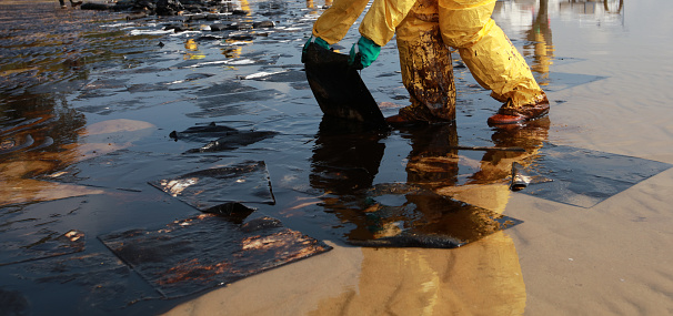 Volunteers clean the ocean coast from oil after there was a leak of crude oil from an undersea pipeline.