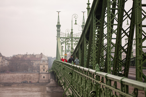 view of the Freedom Bridge Budapest