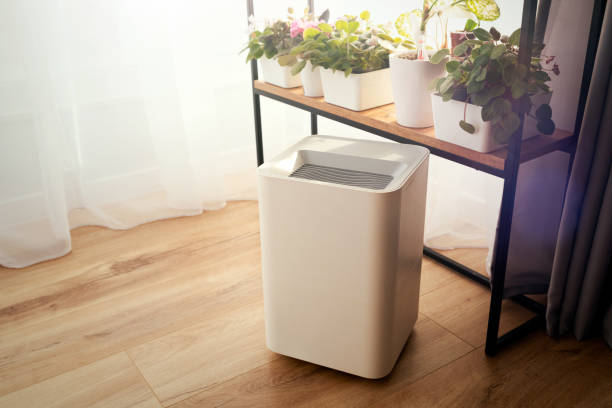 istock Modern air humidifier in home, clean air 1993374885