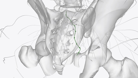 The rectum drains into the superior rectal lymphatics to the retroperitoneal inferior mesenteric lymph nodes .