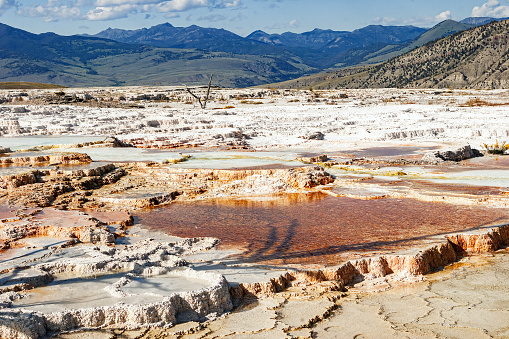 Canary Spring summer landscape and mountain environment of Yellowstone National Park Wyoming, USA