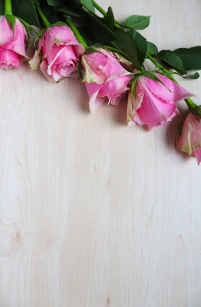greeting card design. bouquet of roses and white blank for text