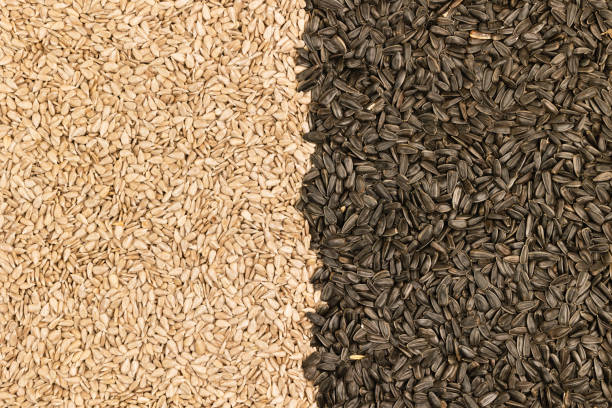 A wooden basket filled with sunflower seeds is displayed on a market stall alongside a metal scoop