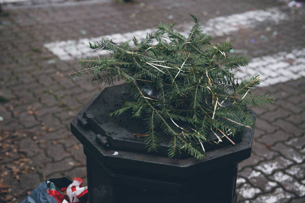 istock damaged waste bin after the New Year night celebration 1993496137