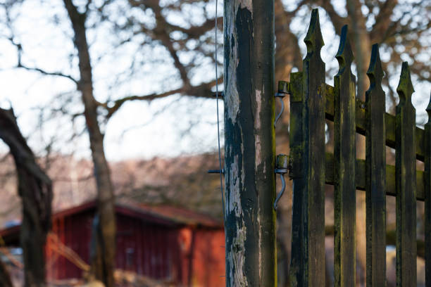 January 31, 2024: Open wooden gate to an old wooden building