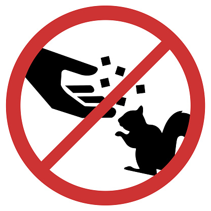 Vector graphic of sign prohibiting the feeding of squirrels