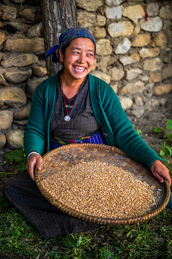 Tibetan woman separates grain from husks, small village in Upper Mustang. Mustang region is the former Kingdom of Lo and now part of Nepal,  in the north-central part of that country, bordering the People's Republic of China on the Tibetan plateau between the Nepalese provinces of Dolpo and Manang.