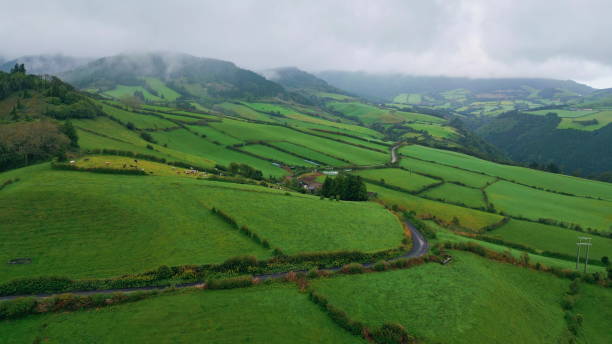 istock Rainy sky forest nature drone view. Cloudy green hills mist slopes landscape 1993625014