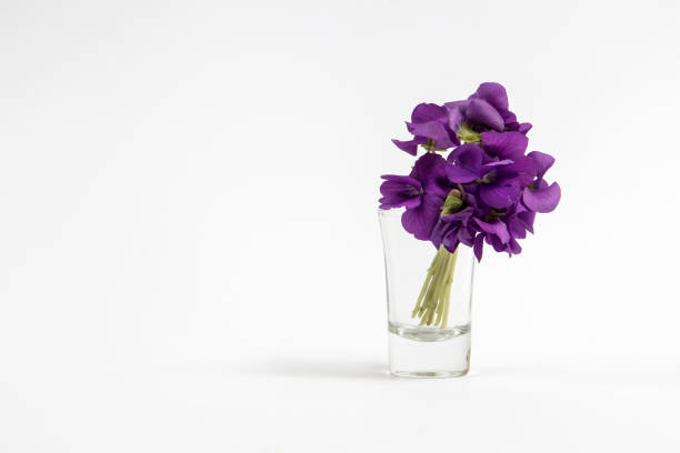 Viola bouquet in a shot glass on a white background