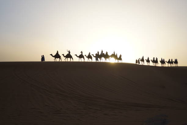 istock Sunset in Sahara with camels 1993666356