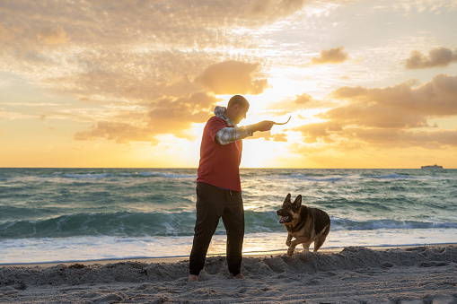 An adult Caucasian man plays with a toy and his German Shepard dog on the sandy beach in Florida with a beautiful sunset behind them.