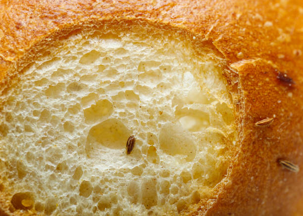 Close up of bread stock photo