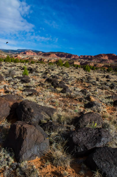 istock Volcanic bombs, molten lava from an ancient volcano, CANYONLANDS, Utah, US 1993779752