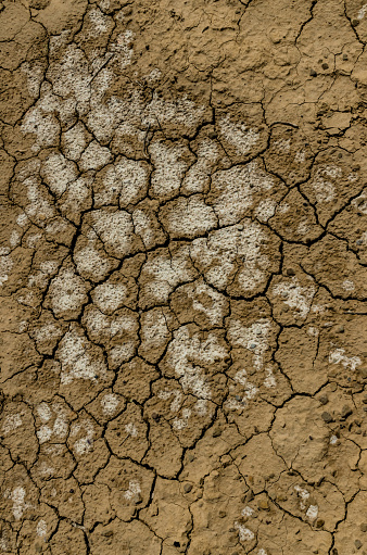 A pattern on dried silt. Dry land in the desert, Utah USA