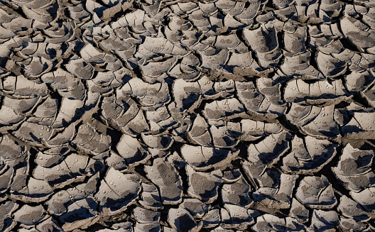 A pattern on dried silt. Dry land in the desert, Utah USA