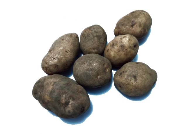istock Photo of potatoes on a white background 1993785244
