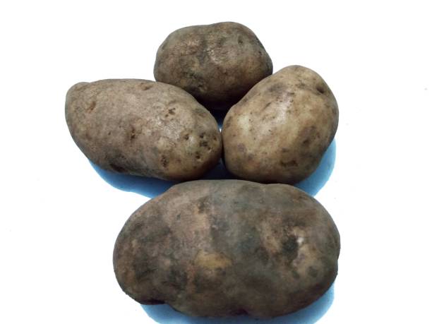 istock Photo of potatoes on a white background 1993785753