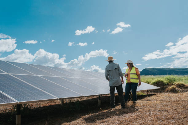 istock Female engineer inspecting solar panels on farm 1993795020