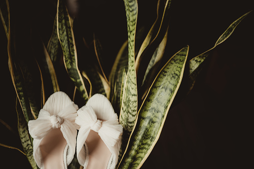 Wedding shoes on a plant